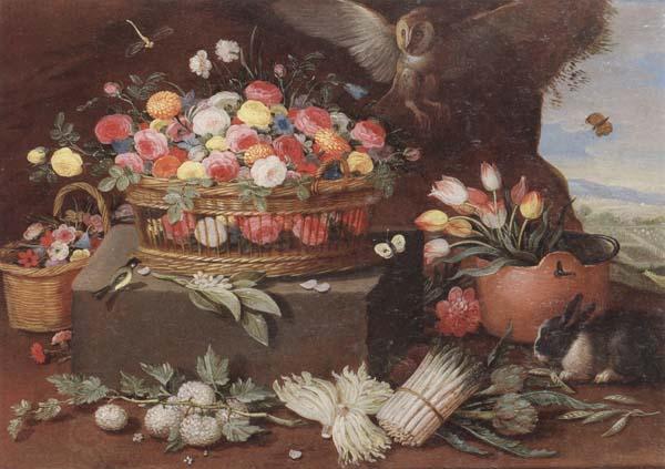 Jan Van Kessel Still life of various flwers in a basket,tulips in a copper pot hortensias,asparagi and artichokes laid out on the ground,together with an owl,butterf oil painting picture